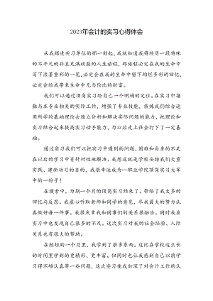 会计实习心得体会.docx