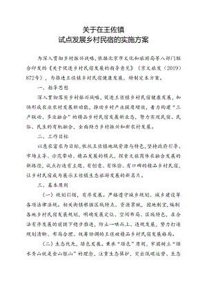 关于在王佐镇试点发展乡村民宿的实施方案（征求意见稿）.docx