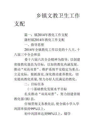 乡镇文教卫生工作计划.docx