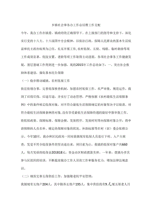 乡镇社会事务办工作总结暨工作计划.docx