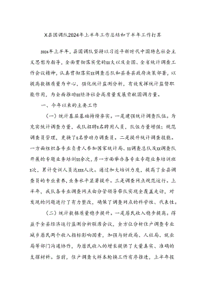 X县国调队2024年上半年工作总结和下半年工作打算.docx