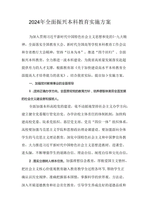 2024年全面振兴本科教育实施方案.docx