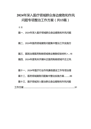 2024年深入医疗领域群众身边腐败和作风问题专项整治工作方案13篇（精选）.docx