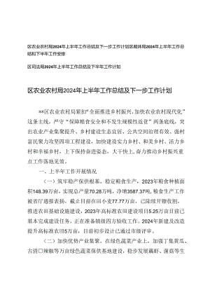 3篇 2024年上半年工作总结及下一步工作计划（农业农村局、教体局、司法局）.docx