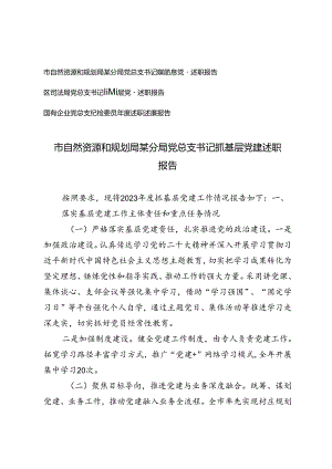 3篇 2024年党总支纪检委员年度述职述廉报告.docx