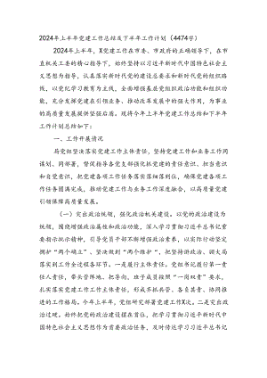 2024年上半年党建工作总结及下半年工作计划（4474字）.docx