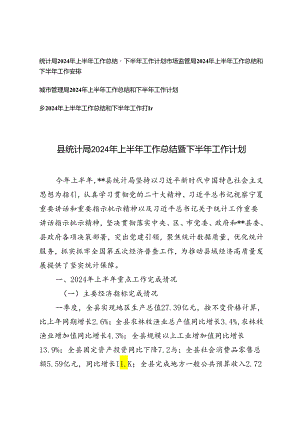 乡、统计局、市场监管局、城市管理局2024年上半年工作总结暨下半年工作计划.docx
