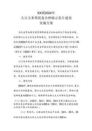 XX镇2024年大豆玉米带状复合种植示范片建设实施方案.docx