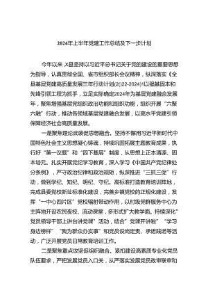 2024年上半年党建工作总结及下一步计划优选5篇.docx