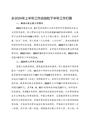 乡2024年上半年工作总结和下半年工作打算.docx