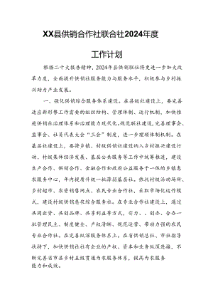 XX县供销合作社联合社2024年度工作计划.docx
