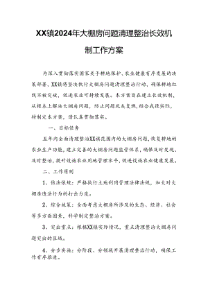 XX镇2024年大棚房问题清理整治长效机制工作方案.docx