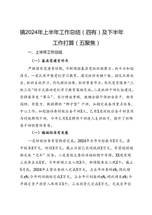 某镇2024年上半年工作总结及下半年工作打算.docx
