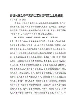 副县长在全市汛期安全工作暨调度会上的发言.docx