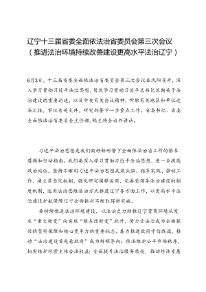 领导讲话∣党政综合：20240603辽宁十三届省委全面依法治省委员会第三次会议（推进法治环境持续改善 建设更高水平法治辽宁）.docx