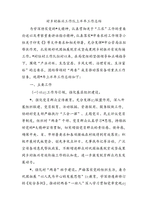 村乡村振兴工作队上半年工作总结.docx