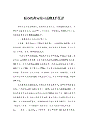 区政府办党组向巡察工作汇报.docx