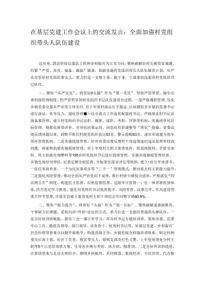 在基层党建工作会议上的交流发言：全面加强村党组织带头人队伍建设.docx