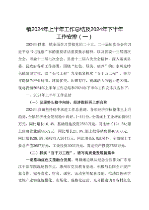 镇2024年上半年工作总结及2024年下半年工作安排（6篇）.docx