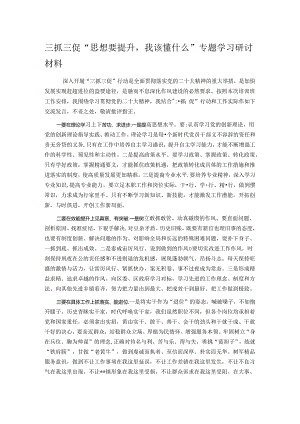 三抓三促“思想要提升我该懂什么”专题学习研讨材料.docx