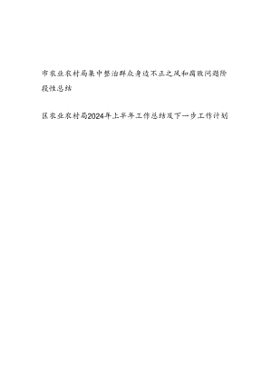 农业农村局集中整治群众身边不正之风和腐败问题阶段性总结和2024年上半年工作总结及下一步工作计划.docx