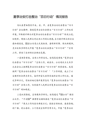派出所2024公安夏季治安打击整治行动情况报告(十篇).docx