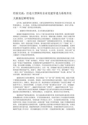 经验交流：打造大型国有企业党建穿透力系统 夯实大抓基层鲜明导向.docx