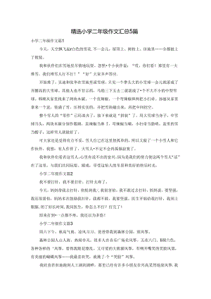 精选小学二年级作文汇总5篇.docx