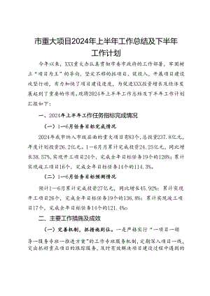 市重大项目2024年上半年工作总结及下半年工作计划.docx