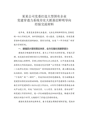 某某公司党委打造大型国有企业党建穿透力系统夯实大抓基层鲜明导向经验交流材料.docx