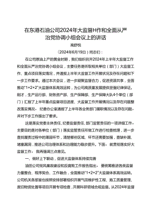 党委书记在东港石油公司2024年大监督工作和全面从严治党协调小组会议上的讲话.docx