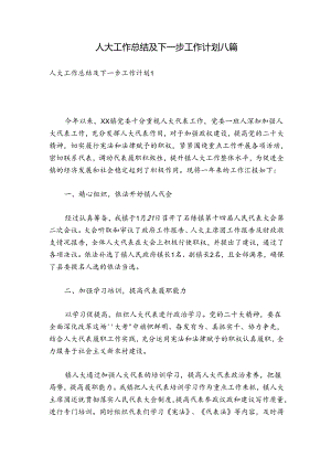 人大工作总结及下一步工作计划八篇.docx