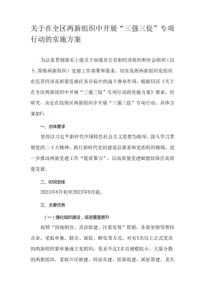 关于在全区两新组织中开展“三强三促”专项行动的实施方案.docx