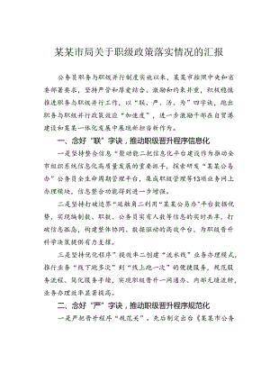 某某市局关于职级政策落实情况的汇报.docx