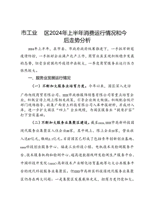 市工业园区2024年上半年消费运行情况和今后走势分析.docx