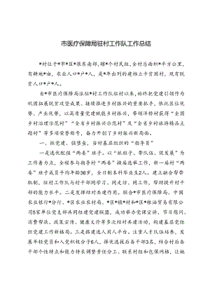 市医疗保障局驻村工作队工作总结+2024上半年驻村工作队工作情况汇报.docx