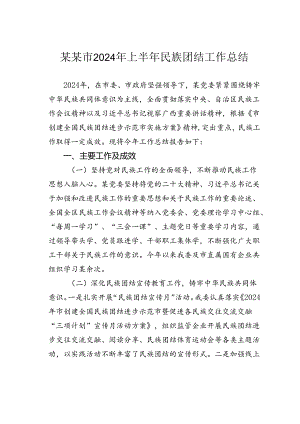 某某市2024年上半年民族团结工作总结.docx