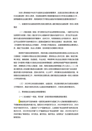审计局关于开展法治建设专项督察的自查报告.docx