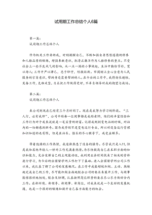 试用期工作总结个人6篇.docx