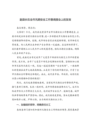 3篇 2024年副县长在全市汛期安全工作暨调度会上的发言.docx