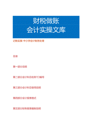 记账实操-中小学账务处理.docx