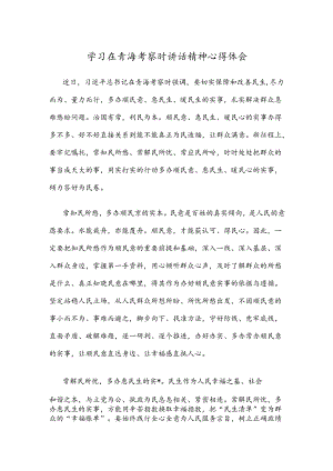 学习在青海考察时讲话精神心得体会.docx