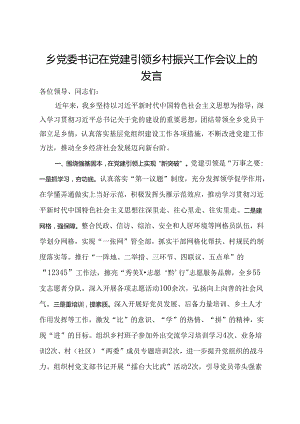 乡党委书记在党建引领乡村振兴工作会议上的发言.docx