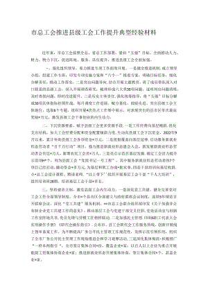 市总工会推进县级工会工作提升典型经验材料.docx