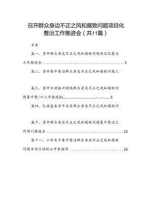 召开群众身边不正之风和腐败问题项目化整治工作推进会11篇（详细版）.docx