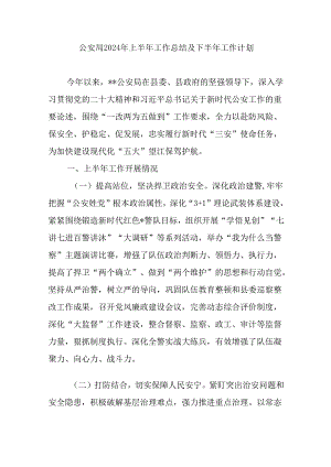 公安局2024年上半年工作总结及下半年工作计划.docx