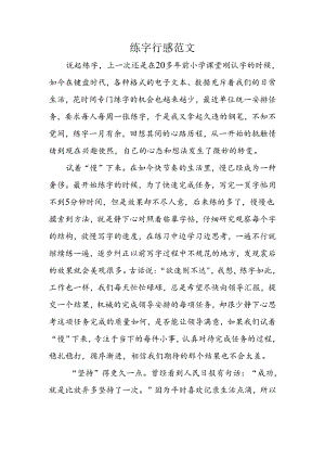 练字有感范文.docx
