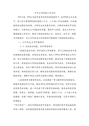 半年公司党建工作总结.docx