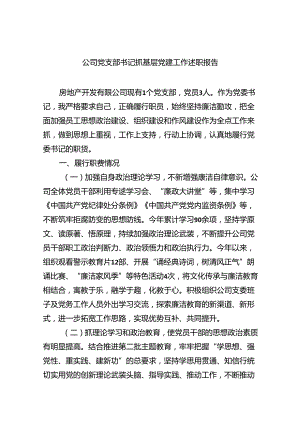 （7篇）公司党支部书记抓基层党建工作述职报告通用精选.docx