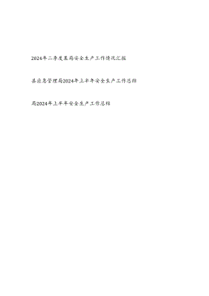 某局2024年二季度和上半年安全生产工作情况总结汇报3篇.docx